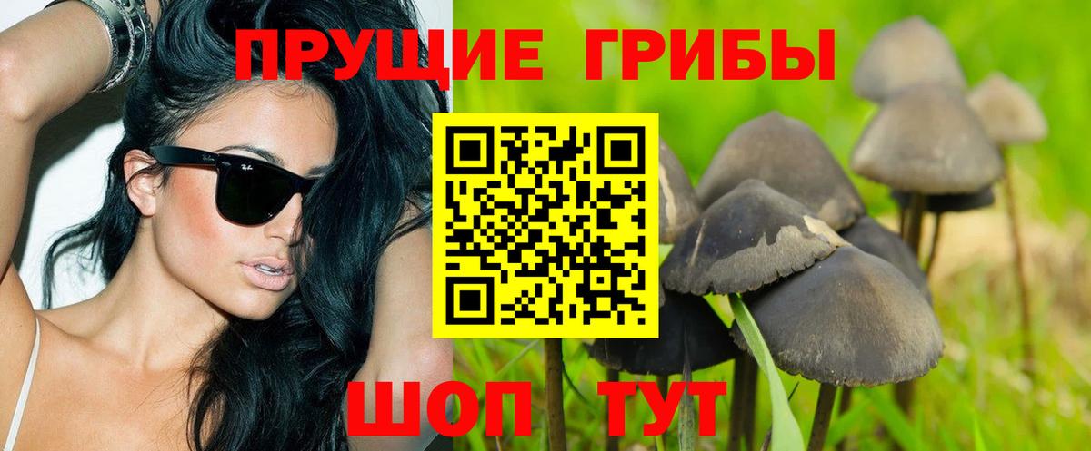 Псилоцибиновые грибы Psilocybe  Вход с VPN  закладки  Всеволожск 